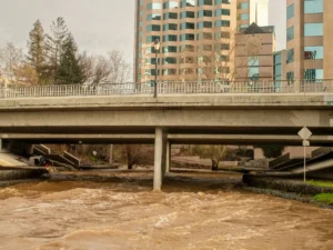 canada’s property and casualty insurance sector holds steady despite record catastrophes news