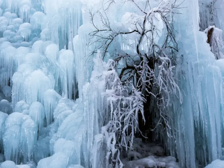 assets protection navigating canada’s evolving commercial property risk landscape news