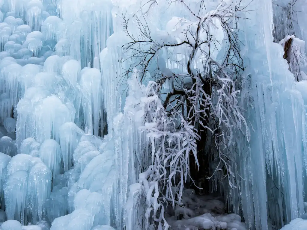 assets protection navigating canada’s evolving commercial property risk landscape news