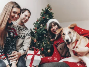 bmo launches pet insurance news