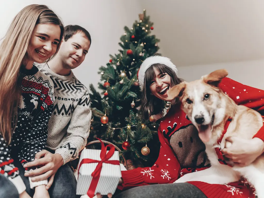 bmo launches pet insurance news