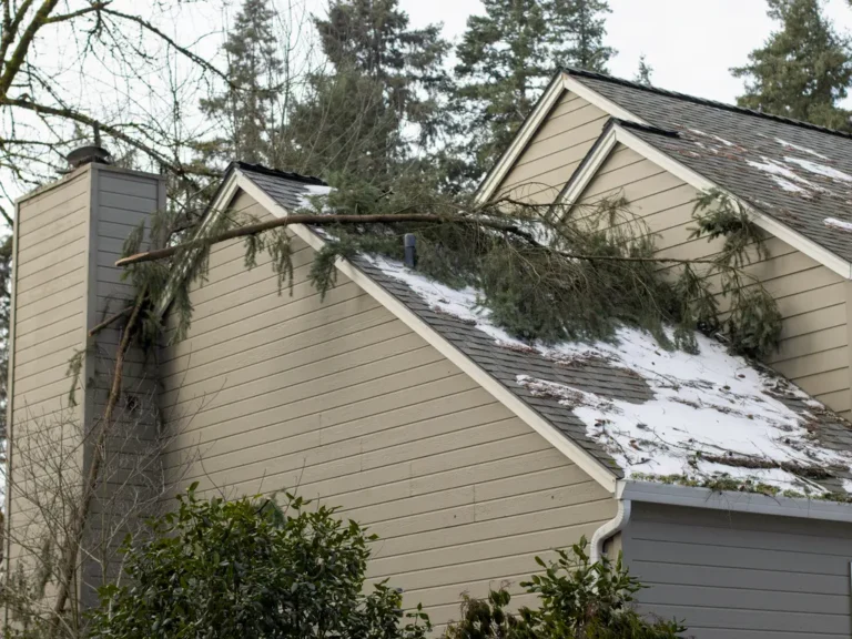 canada’s claims landscape is shifting in 2026, here’s how insurers must adapt news